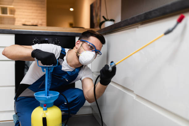 Best Termite Control Services  in Lincoln Park, NY
