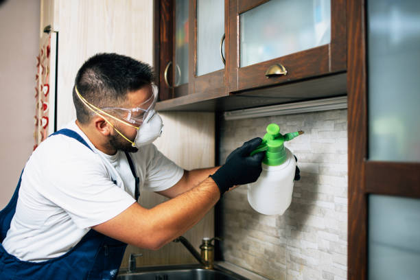 Best Cockroach Control Services  in Lincoln Park, NY